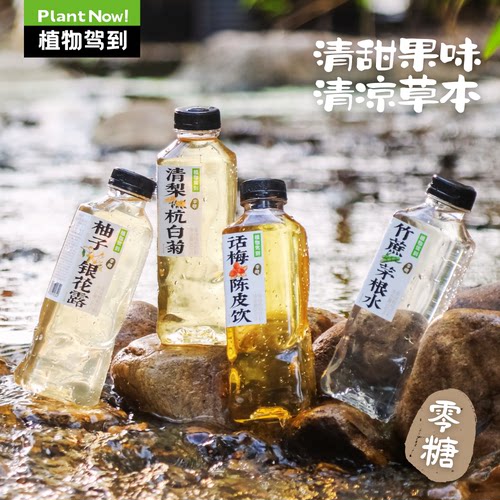 植物驾到古法水500ml/瓶