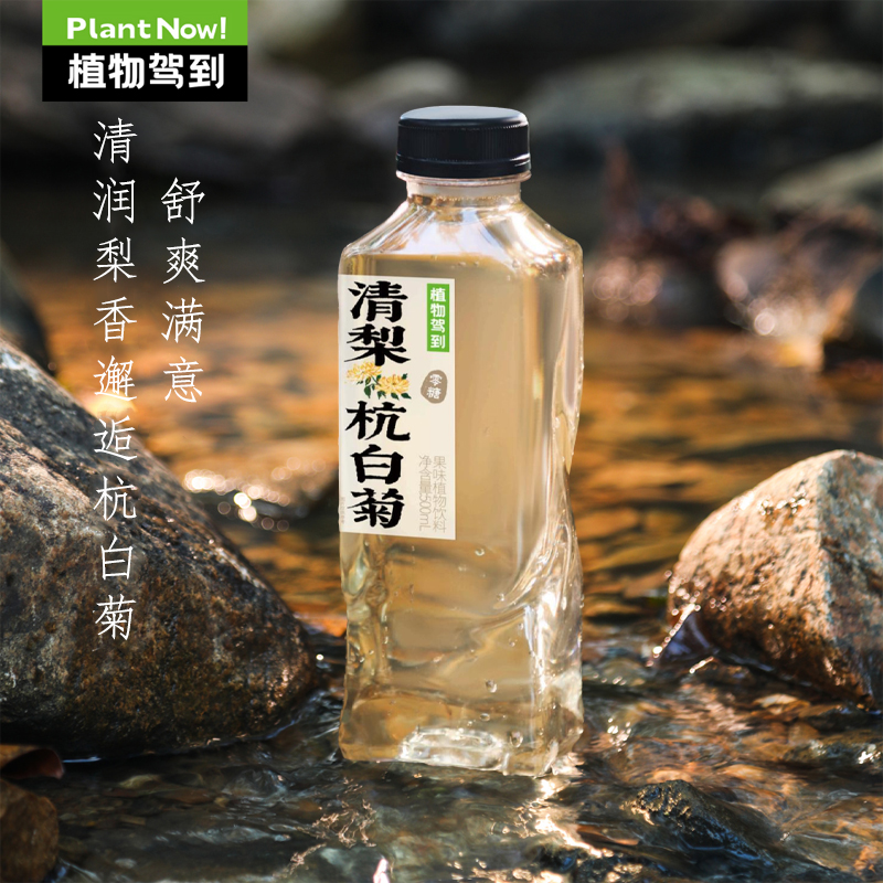 植物驾到0糖0卡竹蔗茅根水陈皮柚子金银花杭菊清梨养生茶植物饮料