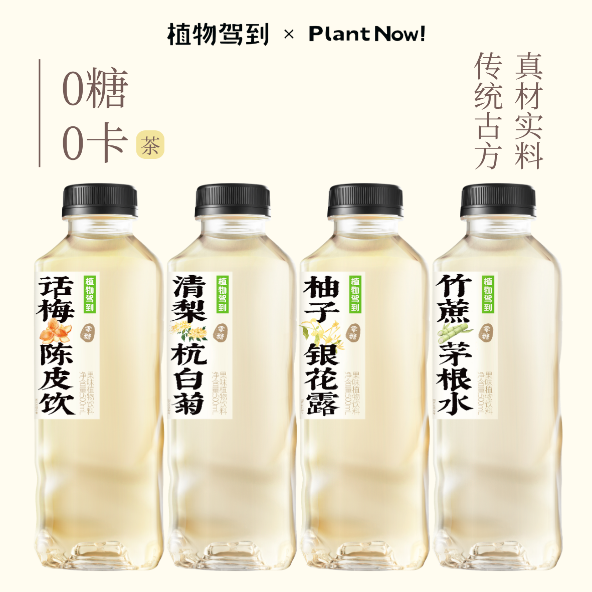 植物驾到0糖0卡饮料500ml*15瓶整箱清梨杭白菊陈皮话梅零糖茶饮料