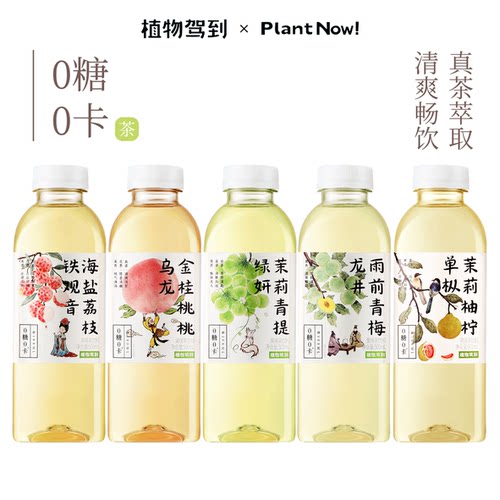 植物驾到500ml0糖0卡0脂果茶尝鲜