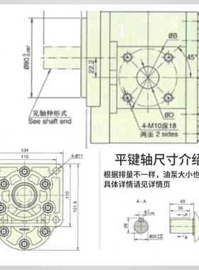 新款齿轮油泵CBT-E520 E525 E532 E540 E550 E563 E580-BFHL BFPR
