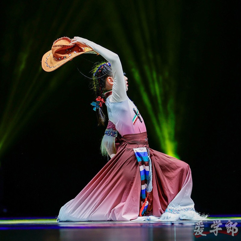 儿童藏族舞蹈演出服女童表演藏服