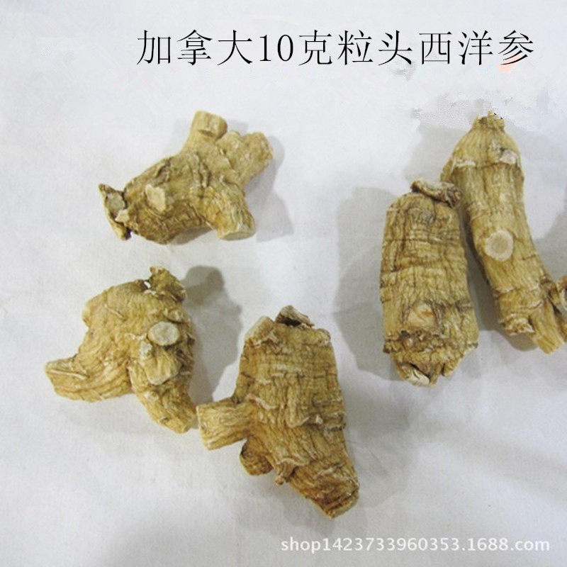 产地货源西洋参10克粒头花旗参加拿大货软支