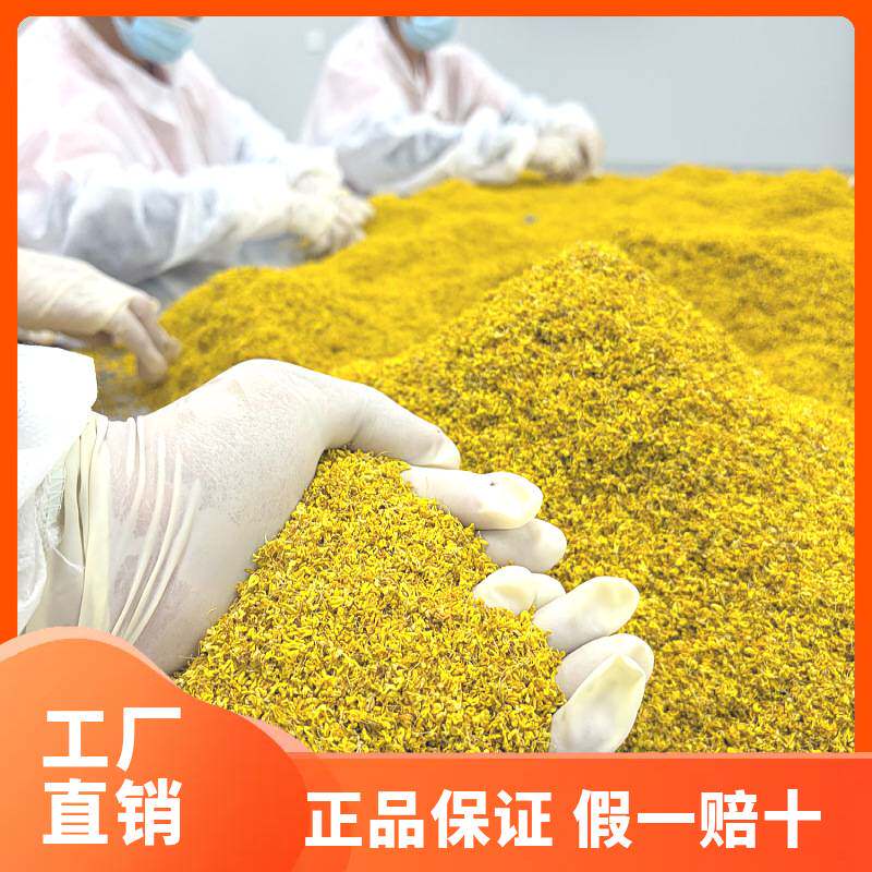 广西桂林散装浓香型桂花干花500g新鲜食用烘焙金桂花茶泡水