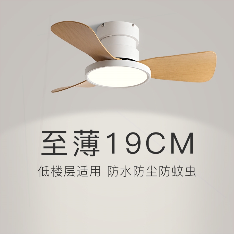 室风扇灯2025年新款家用小尺寸餐