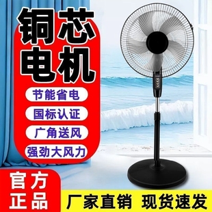 遥控宿舍摇头风力电扇式 金立电风扇落地扇静音节能家用立台式 强力