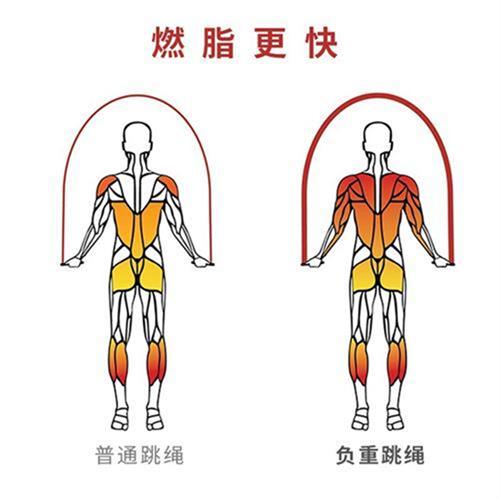 HereRope专业负重跳绳三合一套装燃脂减肥运动训练可拆卸钢丝绳