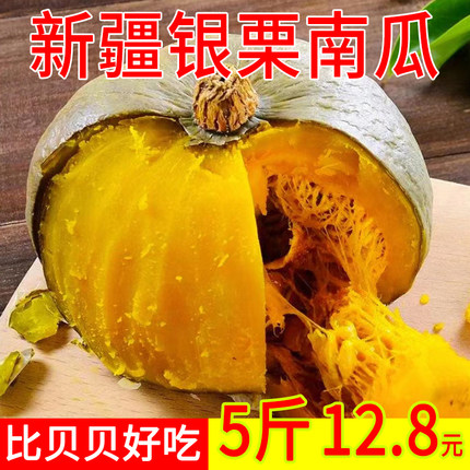 新上市新疆银栗南瓜粉糯甜板栗味新鲜当季银贝贝贵族窝瓜蔬菜辅食
