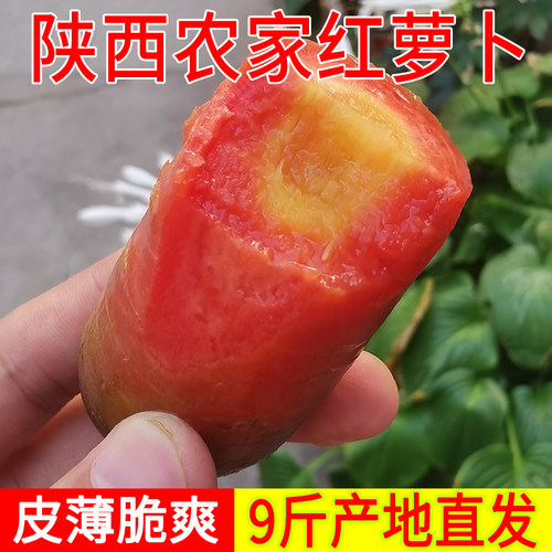 陕西红萝卜红皮农家自种带泥做菜