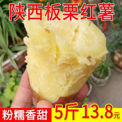 2025新上市陕西板栗红薯新鲜自种