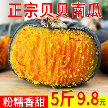 正宗陕西贝贝南瓜板栗味粉糯甜老南瓜新鲜婴儿辅食当季蔬菜小窝瓜