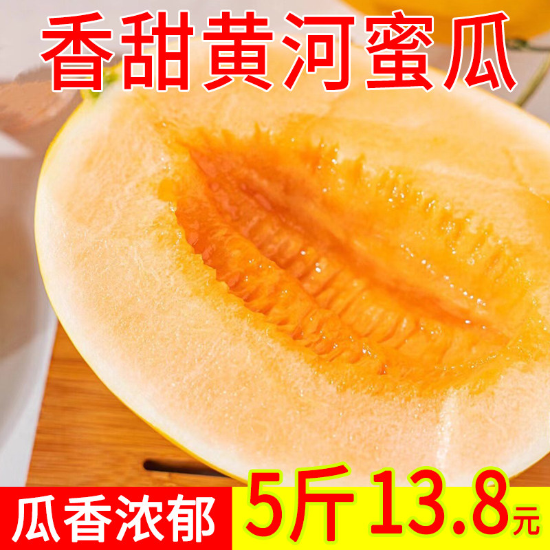 黄河蜜瓜水果当季新鲜黄肉白肉香脆软糯陕西阎良玉菇哈密黄金甜瓜