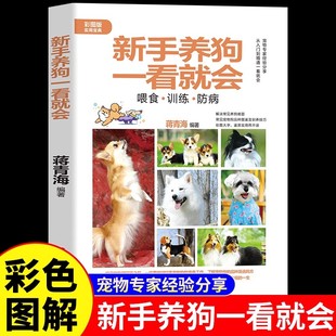 新手养狗一看就会正版彩色图解从入门到精通 宠物专家经验分享 科学养护疾病防治急救指南 让爱狗健康的实用手册 养狗必备百科全书