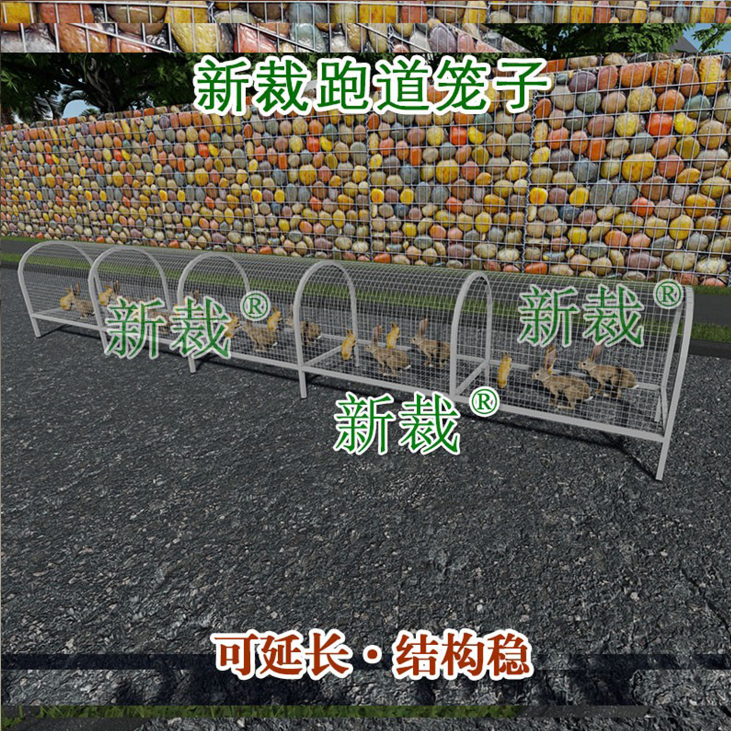 兔子跑道笼子隧道笼子