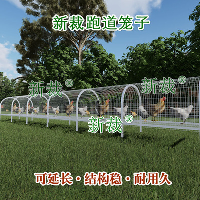隧道鸡笼走地鸡跑道笼子