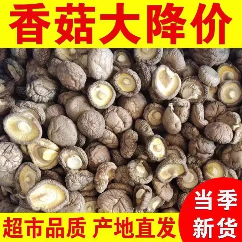 古田特产香菇肉厚无根
