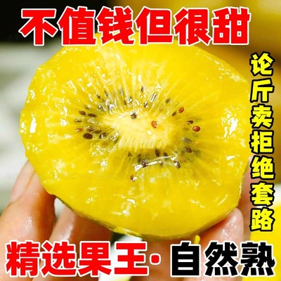 2025四川黄心猕猴桃正宗新鲜奇异果应当季产地直发弥猴桃力荐