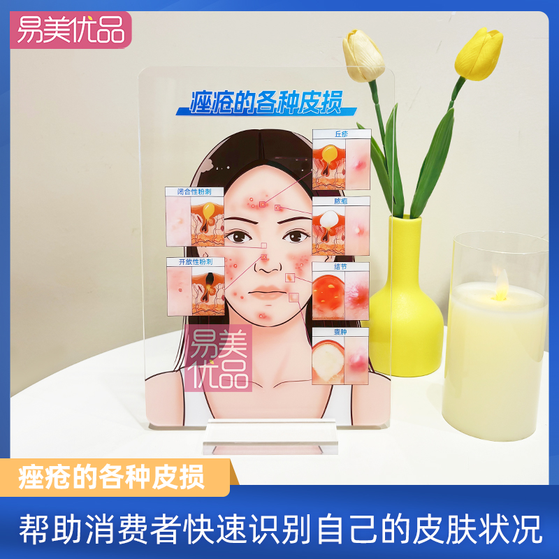 专业皮肤美学教具痤疮的各种皮损