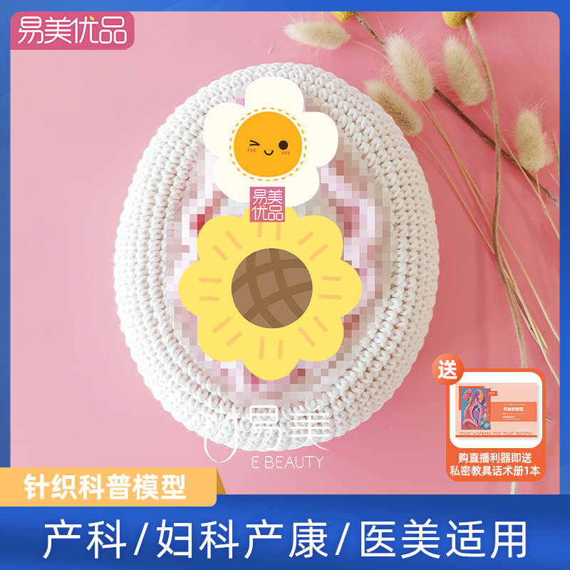 女性针织妹妹模型生殖解剖沟通