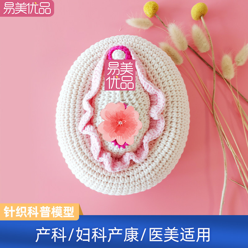产康科普教具女性针织妹妹模型妇科医学生殖解剖医患沟通美容会所