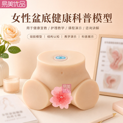 易美女性生理结构硅胶教学模型