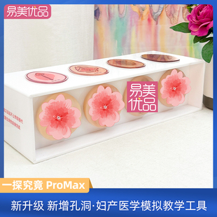 女性一探究竟MAX灵魂通道美容院摆台产康店女人解剖教学模型新款