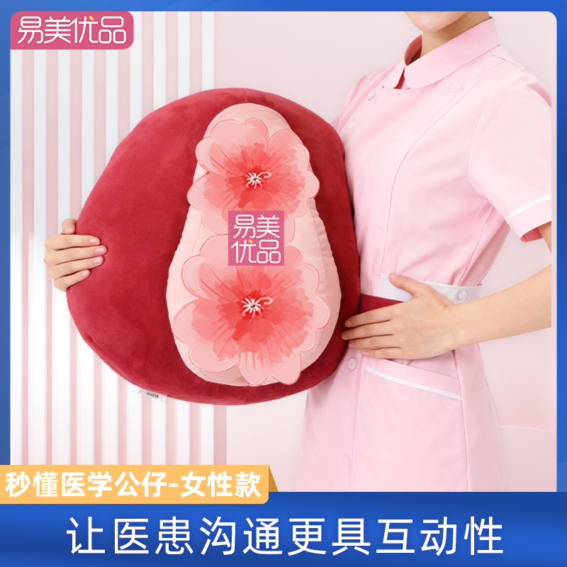 男性女性生殖公仔抱枕