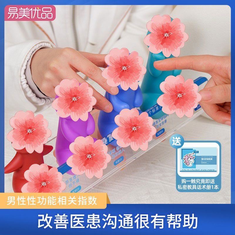 男性丁丁软硬大小医学模型