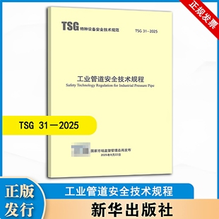 2025 工业管道安全技术规程 D7005 TSG 2018 2009 D0001 新版 代替TSG
