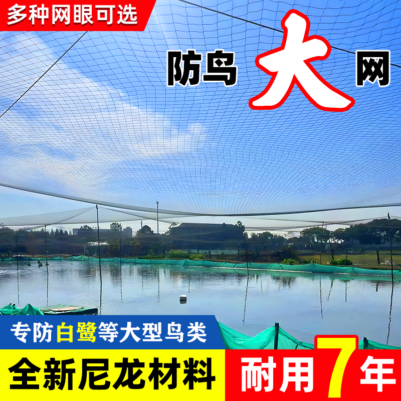 4510公分网眼防大鸟网