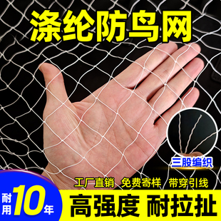 涤纶网樱桃果园大棚防鸟网鱼塘丝网防鸟网养殖天网结实耐用抗氧化