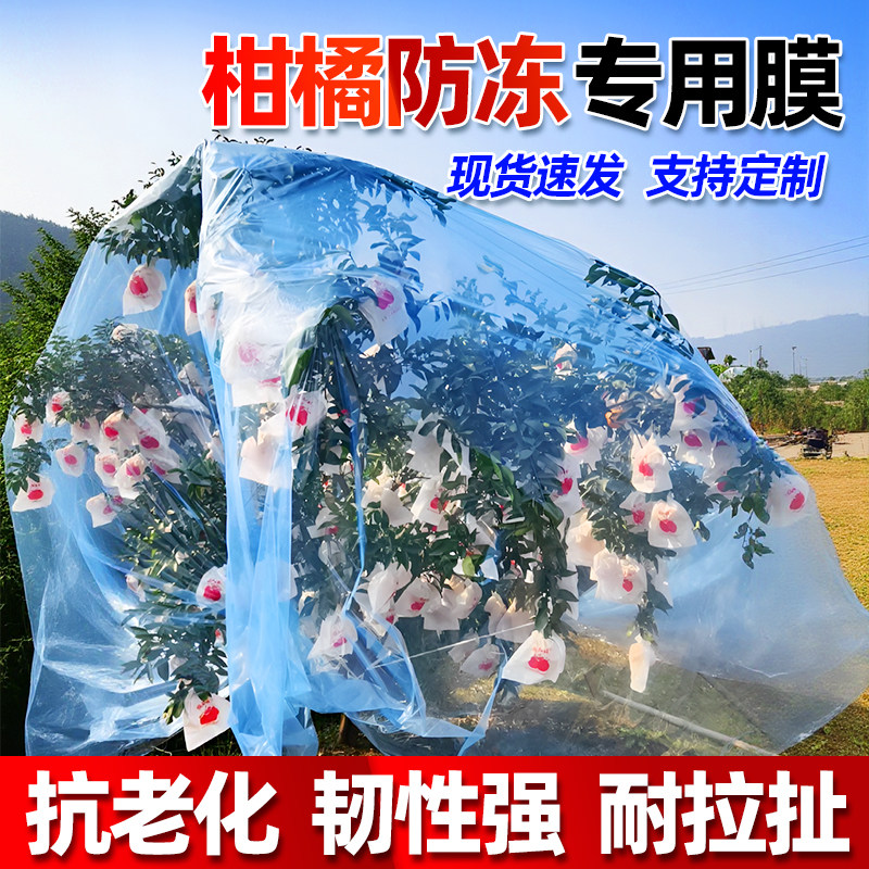柑橘防冻防霜膜透气塑料膜防水保温透气园艺沃柑防寒膜加厚塑料布,农机/农具/农膜,农用薄膜,淘宝优惠券,粉丝福利购,淘宝优惠卷