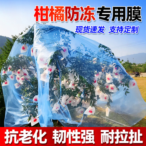 柑橘防冻防霜膜透气塑料膜防水保温透气园艺沃柑防寒膜加厚塑料布