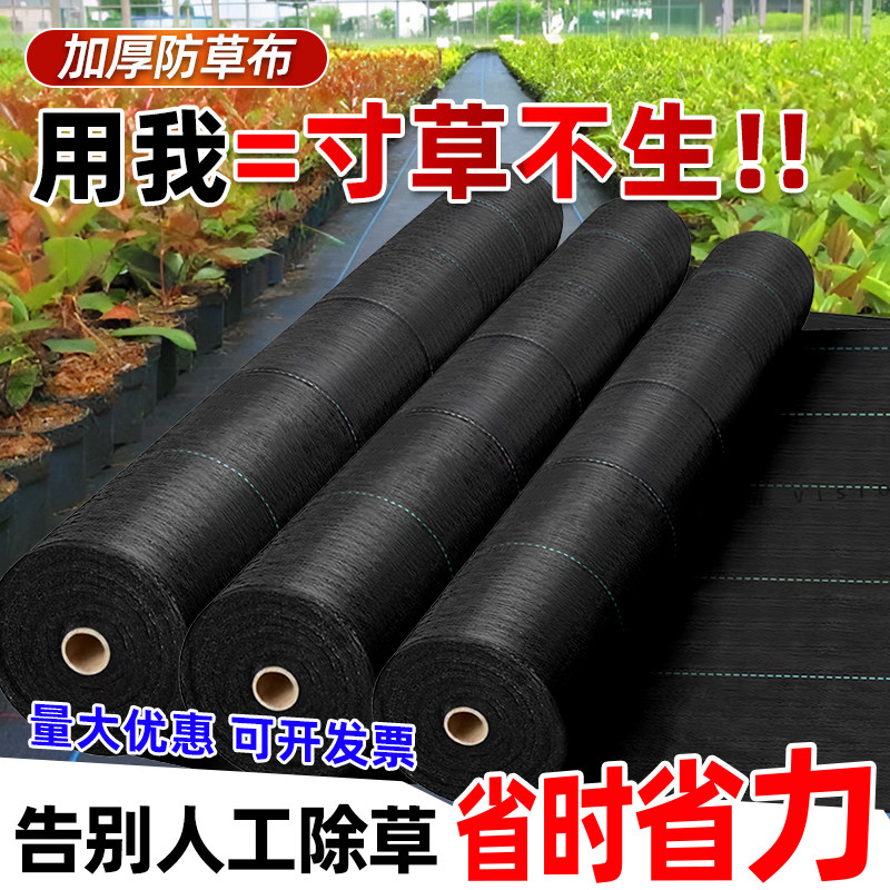 果树防草布除草布耐用蔬菜打孔防草布加厚园艺种植透气渗水遮草布,农机/农具/农膜,农用防草地布/除草布,淘宝优惠券,粉丝福利购,淘宝优惠卷