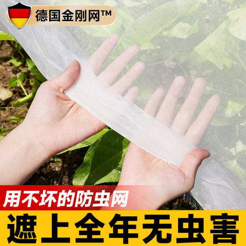防虫鸟保护网封院子防柳絮蚊子纱窗网沙网加密防虫网果蝇大棚专用