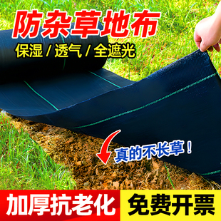 除杂草地布防草布除草布耐用果树园艺农用地膜透气保湿盖草布整卷