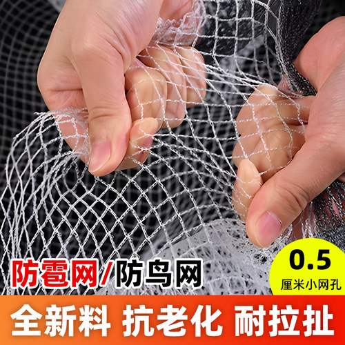 加厚防雹网全新料抗老化