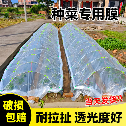 白色大棚膜透明加厚塑料布小拱棚膜薄膜保温农用蔬菜专用育苗防寒