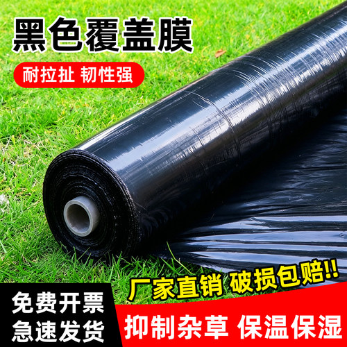 黑色覆盖膜农用黑地膜蔬菜种菜果树除草地布加厚大棚果园塑料薄膜