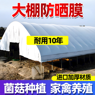 大棚防晒隔热膜进口黑白膜养殖加厚专用塑料薄膜降温反光膜保温膜