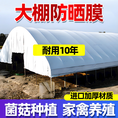仁禾青天猫正品黑白膜防晒隔热
