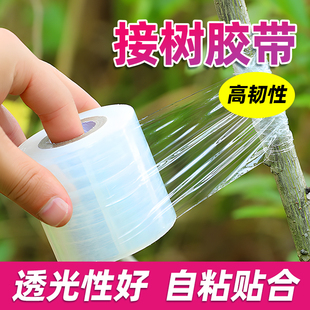 接树胶带果树嫁接膜PE自粘绑带柑橘盆景保护薄膜神器免拆包扎胶带