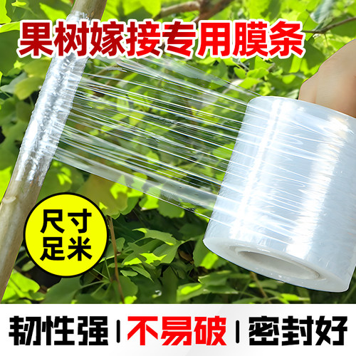 果树嫁接专用膜条嫁接膜免打结透明拉伸塑料膜自粘农用薄膜缠绕膜