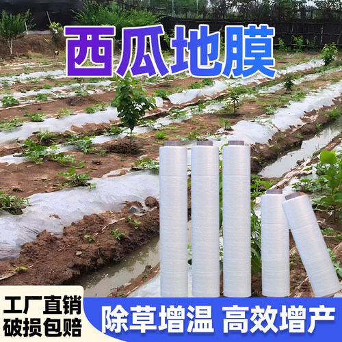 西瓜地膜农用种植抗老化白色塑料薄膜蔬菜种植过冬保温保湿塑料纸