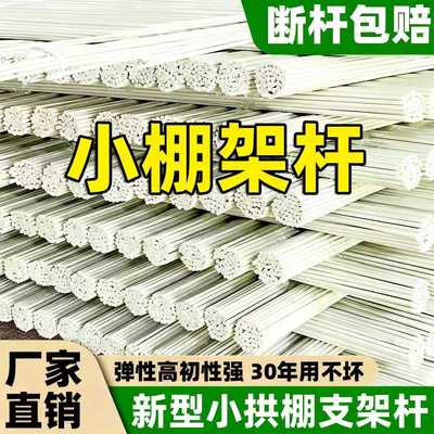 玻璃纤维小拱棚支架冬季豆角