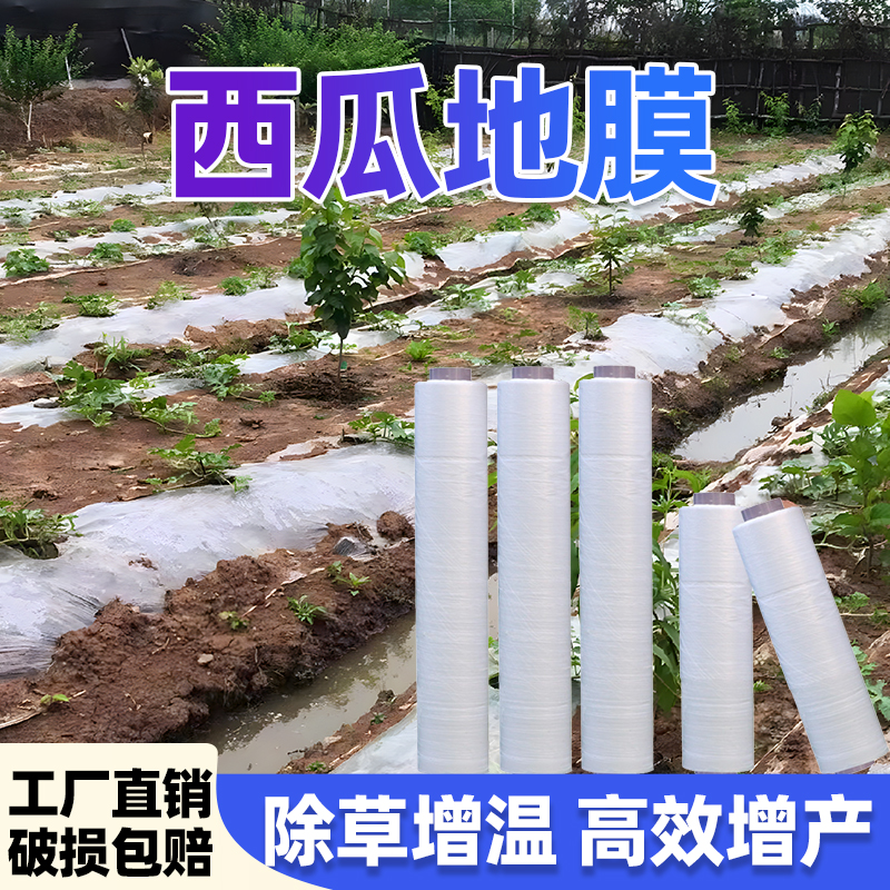 西瓜专用薄膜地膜小拱棚膜