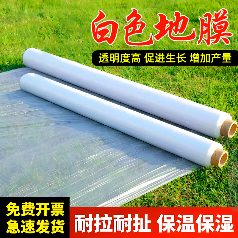 白色地膜薄膜小拱棚摸蔬菜种子过冬农用大棚保温透明一次性厚地膜