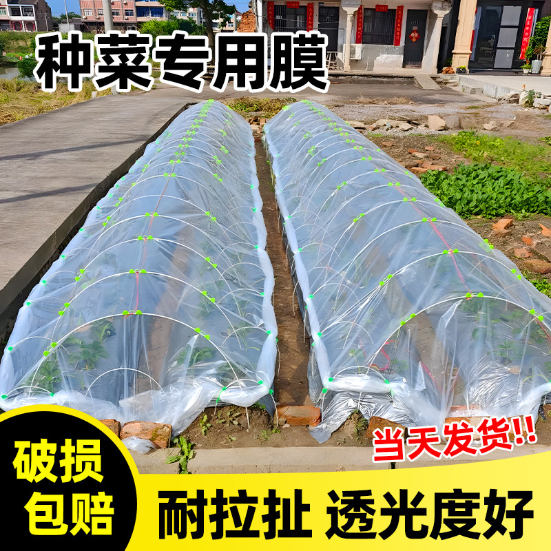 白色大棚膜透明加厚塑料布小拱棚膜薄膜保温农用蔬菜专用育苗防寒,农机/农具/农膜,农用薄膜,淘宝优惠券,粉丝福利购,淘宝优惠卷