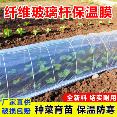 纤维玻璃杆拱棚支架小拱棚膜