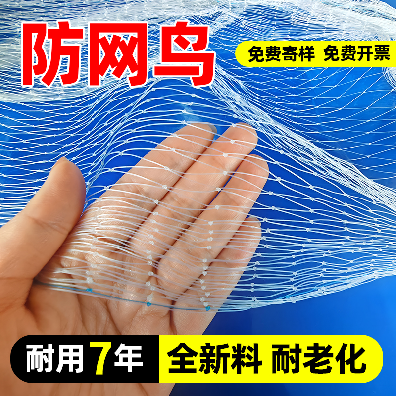 防网鸟果园小孔大孔尼龙网专用防鸟加粗防麻雀斑鸠防鸟网养殖天网
